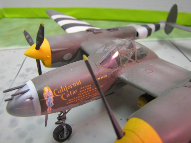 Reflective ovals on the inside of each nacelle give the pilot a visual indicator for his landing gear position.